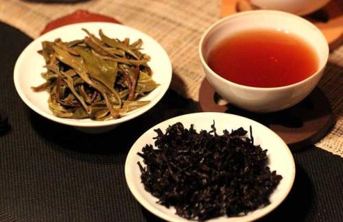 普洱茶餅紫色現象全解析 原因、安全性與品飲價值
