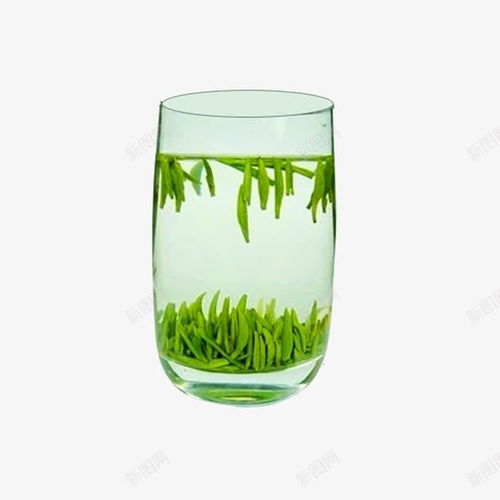 竹葉青茶葉茶飲 至美味道與鮮活元素的設計美學
