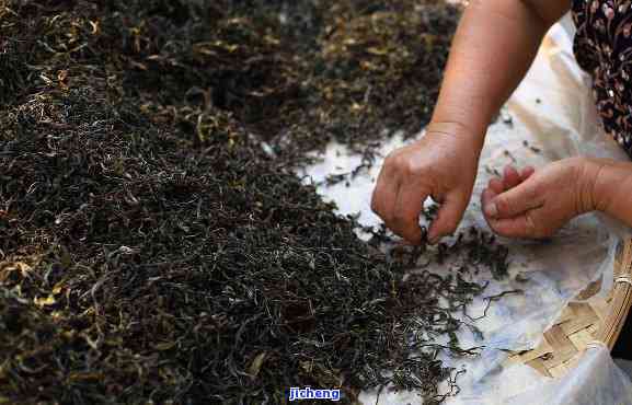 品質(zhì)、來源與真假鑒別 揭秘普洱茶廠茶葉的真實(shí)性